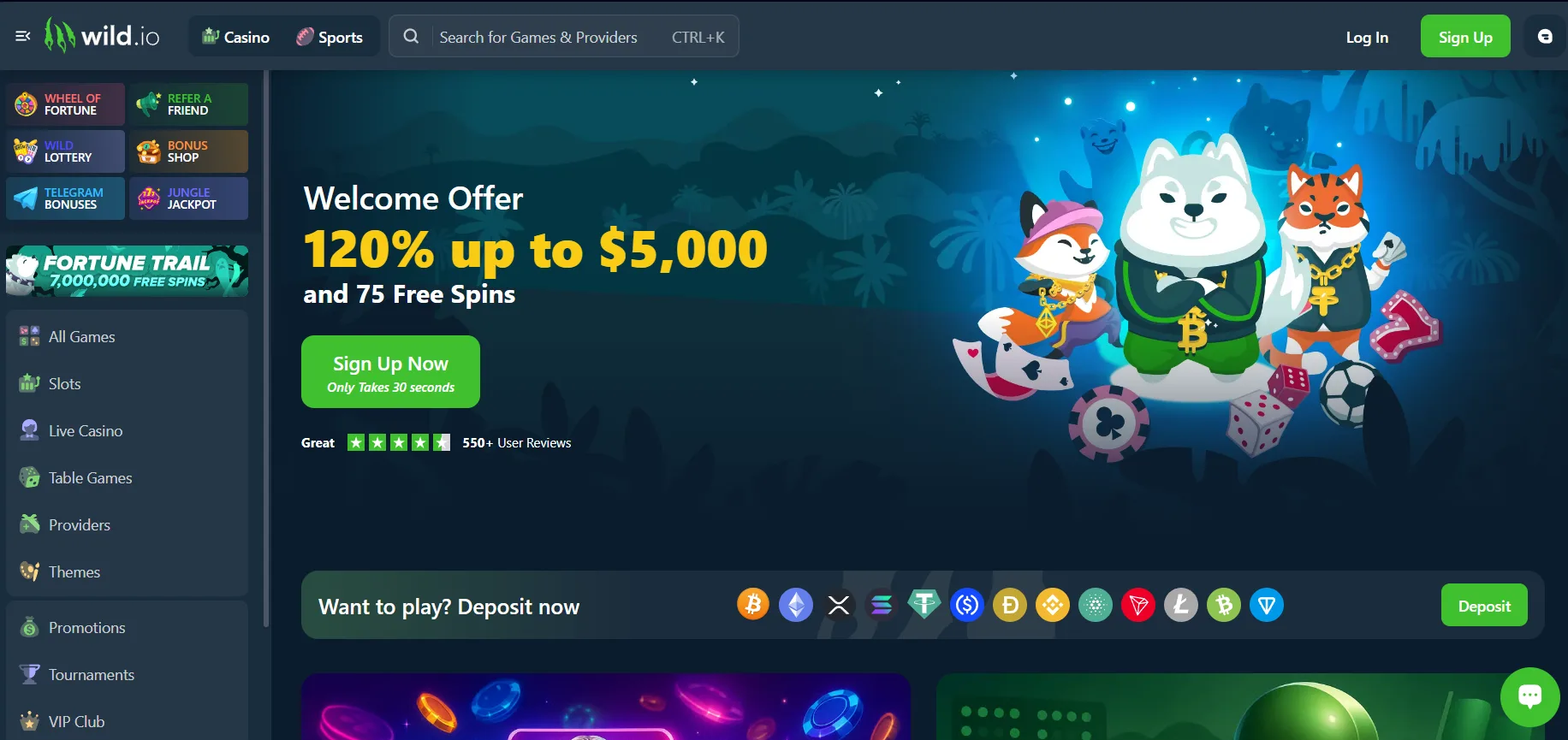 Wild.io Casino Avis 2026 : Test Complet Bonus &amp; Jeux Crypto